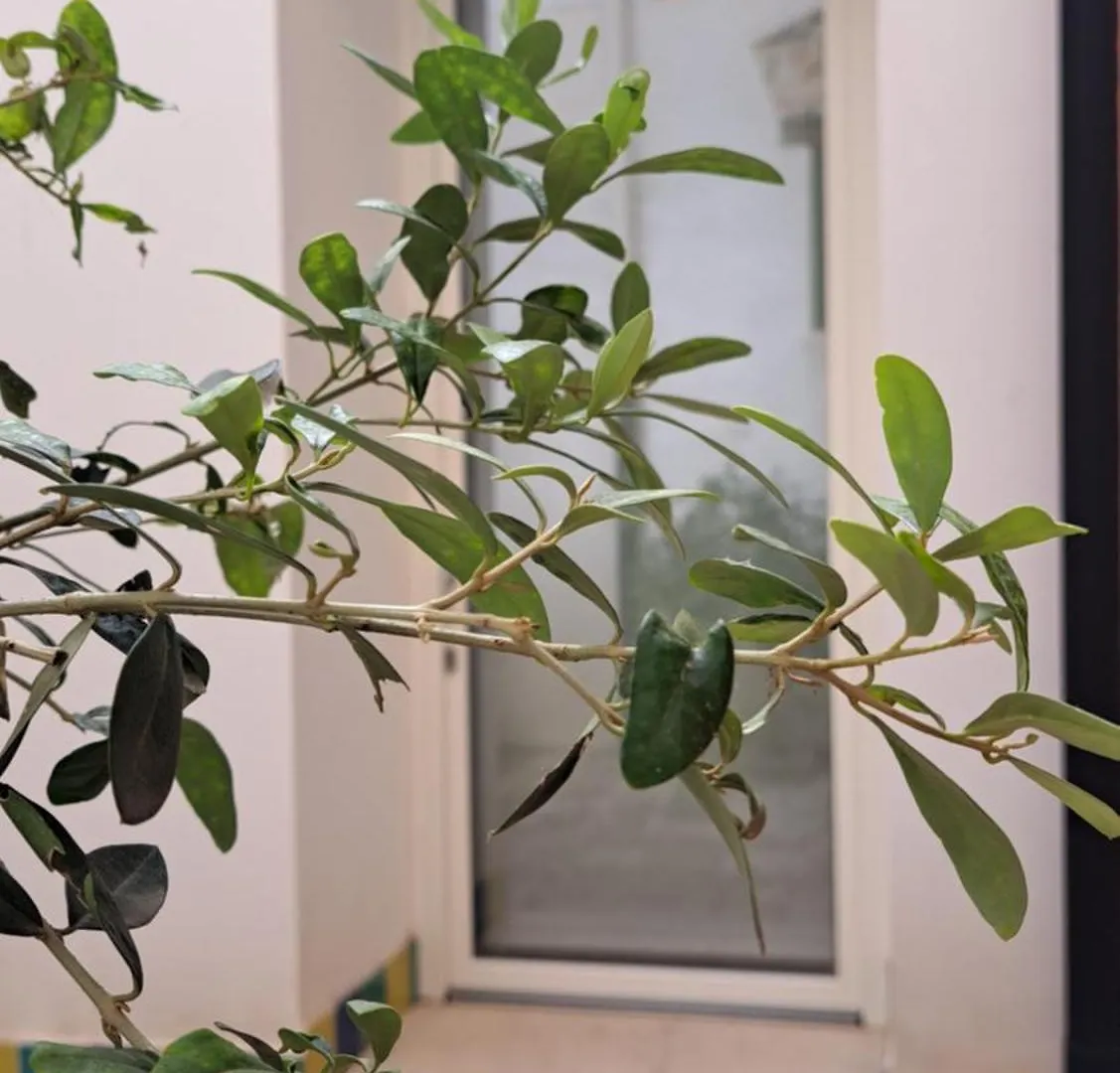 B&B Garibaldi Alcamo Italy